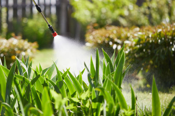 24/7 Emergency Mosquito Control experts in Holt, MI