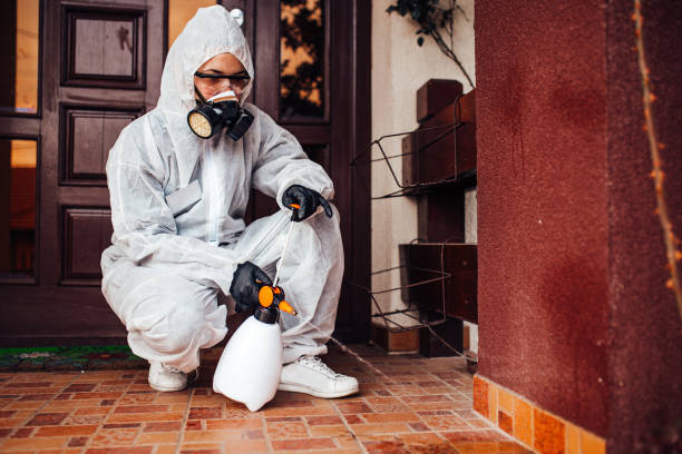 Reliable Mosquito Control contractor in Holt, MI by Show Me Pest Control