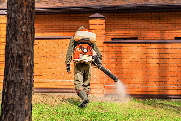 Top rated local Mosquito Control specialists in Holt, MI